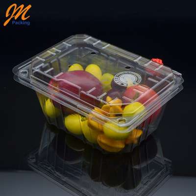 Plastic Disposable Transparent Clamshell Fruit Container