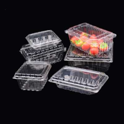 clear plastic blister fruit packaging box for salad