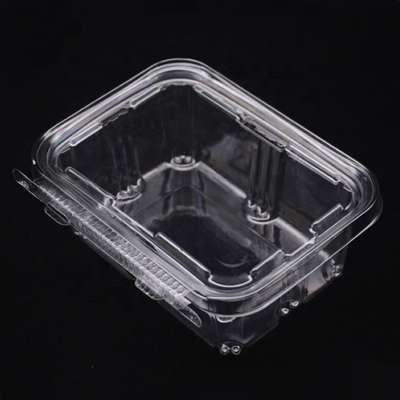 20OZ and 24OZ Plastic Tamper Resistant Food Containers